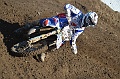 _ROB6977 (Copy)